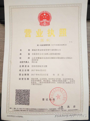 【高清图片】聚焦财富前沿——全面识别聊城实业投资考量点（公司与标签扫描）