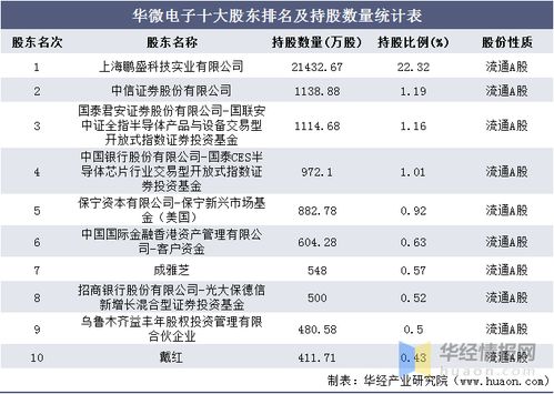 2016-2020年华微电子财务数据与实业投资战略分析
